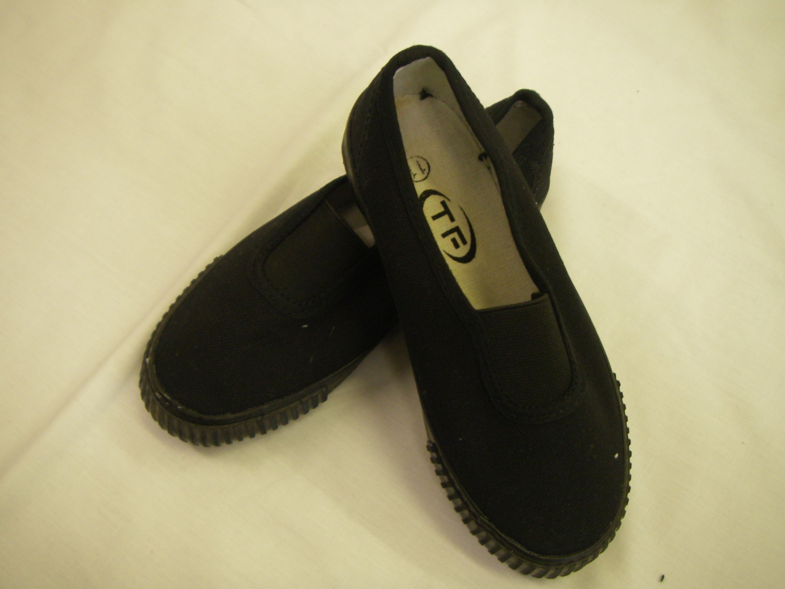 canvas sandshoes