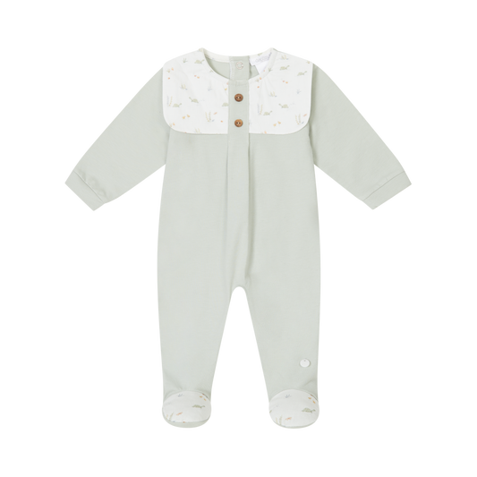 Deolinda All In One Turtle 24101