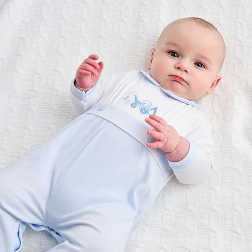 Dandelion Digger And Cones Sleepsuit AV6151