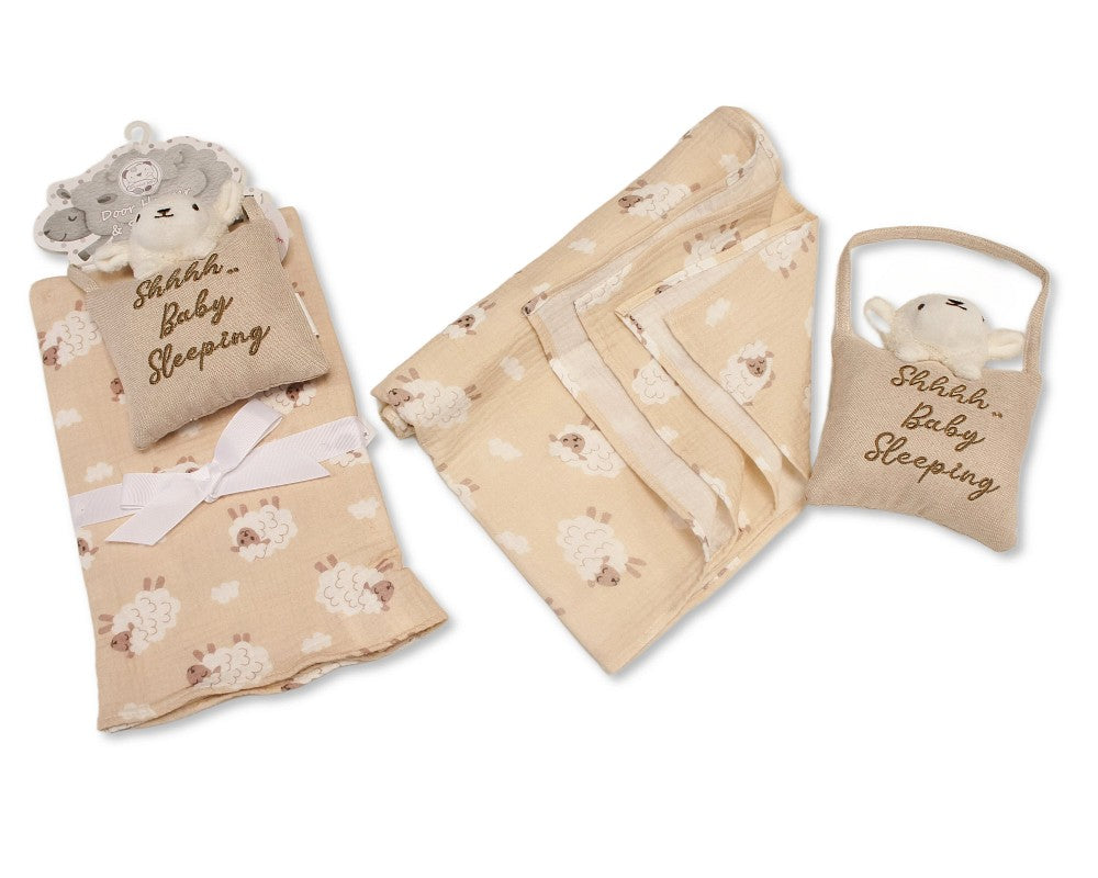 Snuggle Baby Door Hanger And Swaddle Set