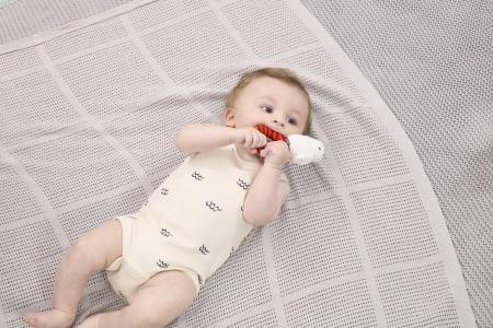 Harry Potter Hedwig Ring Rattle Studio Sot