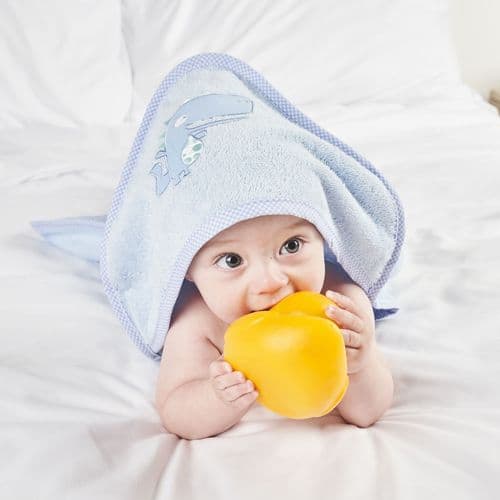 Dandelion Dino Blue Hooded Towel B106